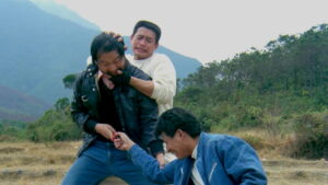 Majestic Thunderbolt