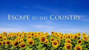 Escape to the Country