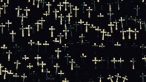 The Color of Pomegranates