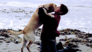 Far from Home: The Adventures of Yellow Dog