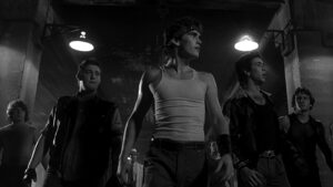 Rumble Fish