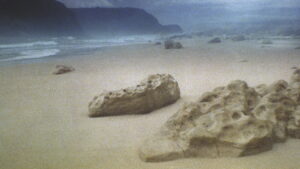 The Seventh Continent