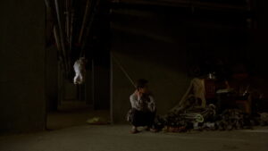 Barking Dogs Never Bite