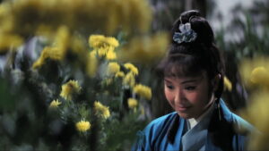 Have Sword, Will Travel