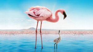 The Crimson Wing: Mystery of the Flamingos