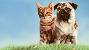 The Adventures of Milo and Otis