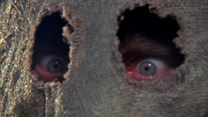 Dark Night of the Scarecrow