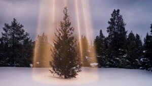 National Lampoon’s Christmas Vacation