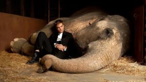 Water for Elephants