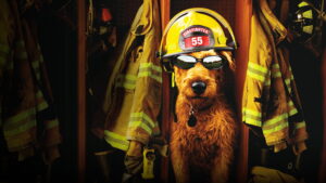 Firehouse Dog