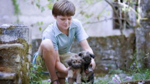 My Family and Other Animals