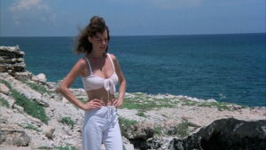 Tintorera: Killer Shark