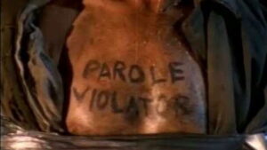 Parole Violators