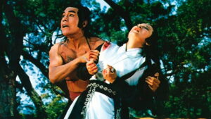 Shaolin Kung-Fu Mystagogue