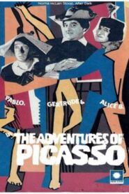 The Adventures of Picasso