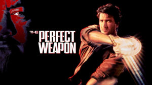 The Perfect Weapon