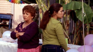 Real Women Have Curves