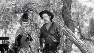 Have Gun, Will Travel