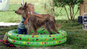 Because of Winn-Dixie