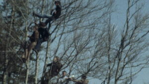 The Great Ecstasy of Woodcarver Steiner