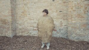 The Beaches of Agnès