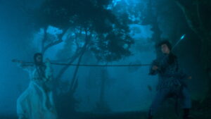 The Bride with White Hair