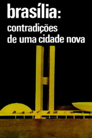 Brasilia, Contradictions of a New City