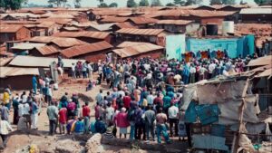 The Constant Gardener