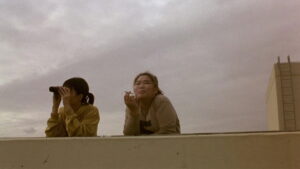 Barking Dogs Never Bite