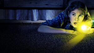 Don’t Look Under the Bed