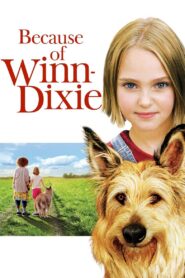 Because of Winn-Dixie