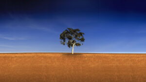 Who Do You Think You Are? (AU)