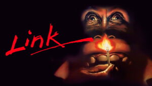 Link