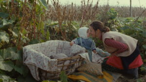 Will It Snow for Christmas?