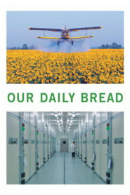 Our Daily Bread
