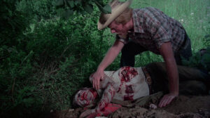 The Giant Spider Invasion