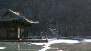 Spring, Summer, Fall, Winter… and Spring