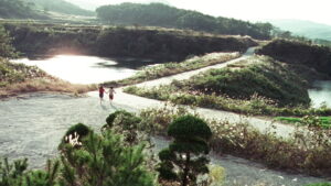 A Tale of Two Sisters