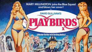 The Playbirds