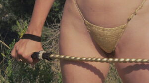 Golden Temple Amazons