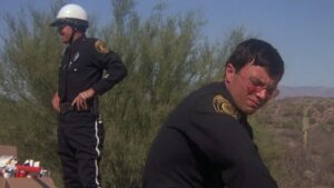 Electra Glide in Blue