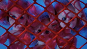 Auntie Lee’s Meat Pies