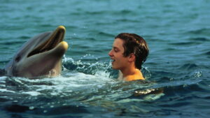 Flipper