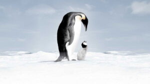 March of the Penguins