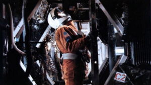 The Noah’s Ark Principle