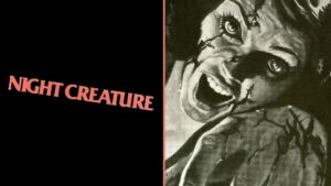 Night Creature