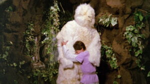 Wizards of the Lost Kingdom