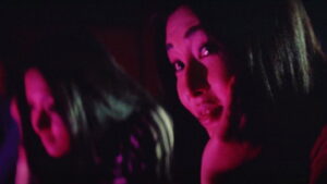 Stray Cat Rock: Delinquent Girl Boss