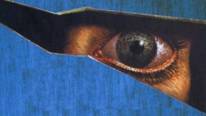 The Mirror Crack’d