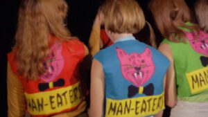 She-Devils on Wheels